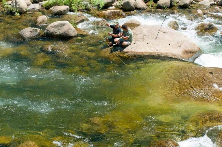Kings River Fly Fishing Guide Fly Fishing Kings River