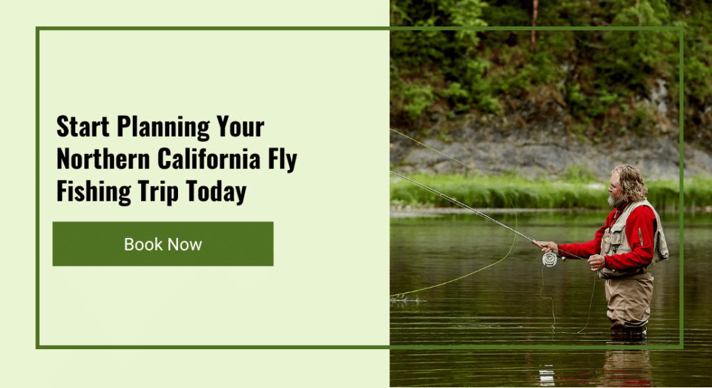 Streamer Fly Fishing BETTER [Definitive Guide]