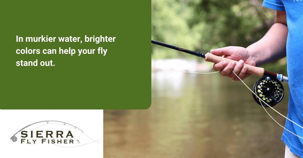 A man engaged in fly fishing in the Sierra, accompanied by advice on using bright flies in murky conditions.