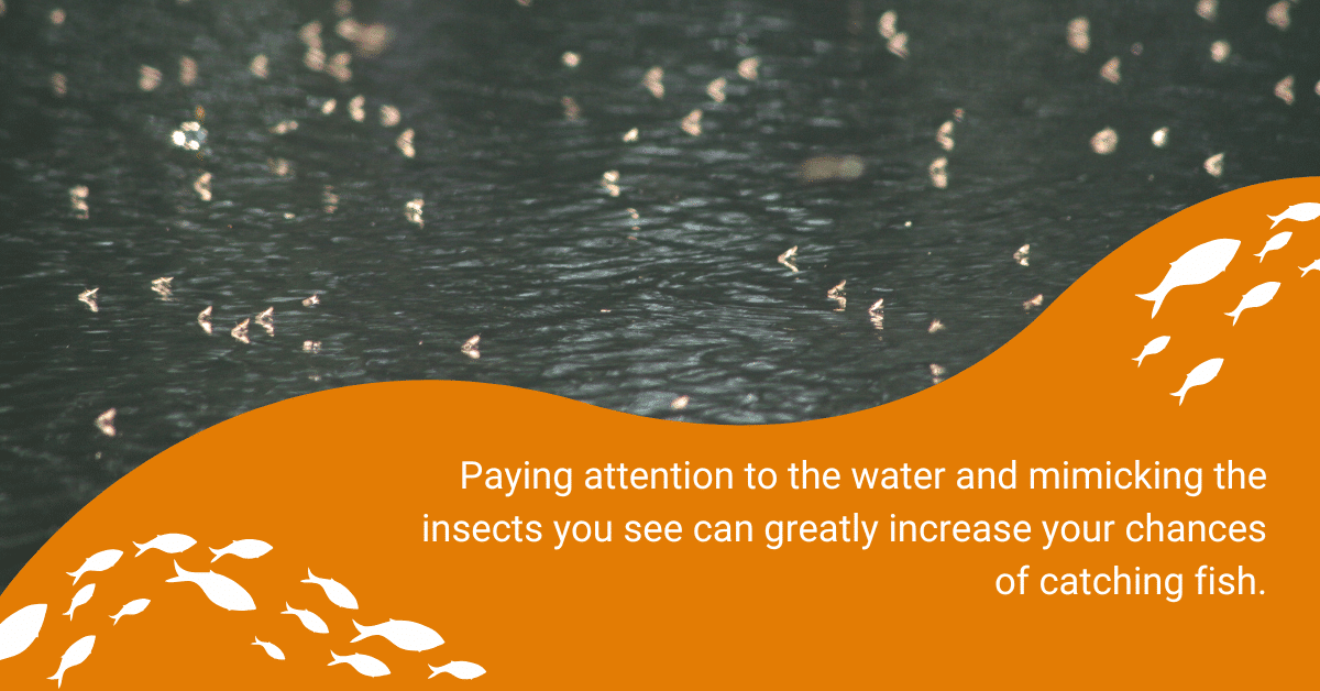 Image of wet flies with a note on the significance of observing water and mimicking insects to enhance fishing success.