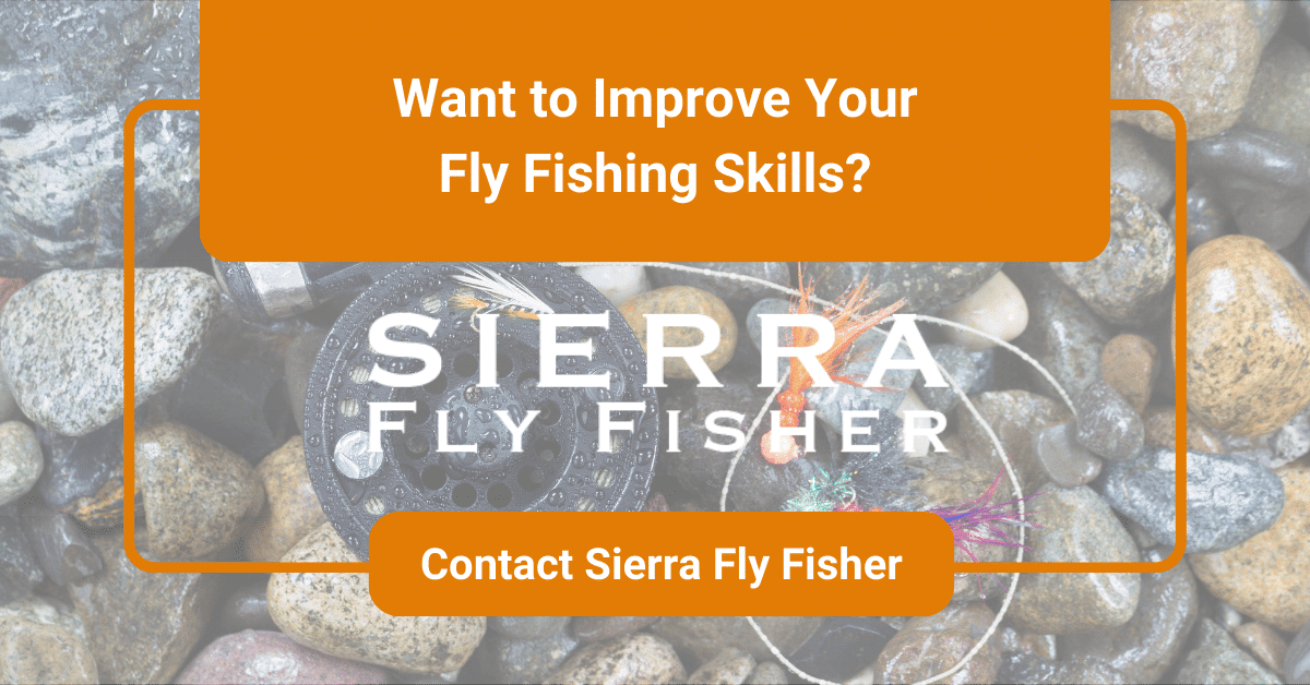 Image of Sierra Fly Fisher logo with a call to action: "Want to Improve Your Fly Fishing Skills?" and a button to contact them.