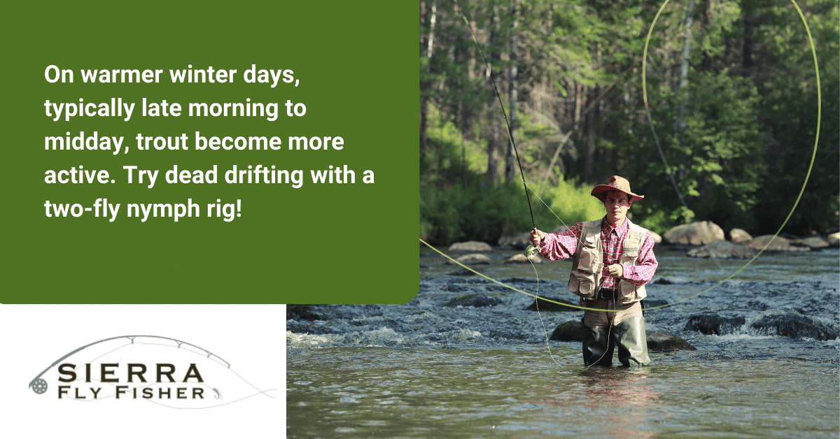 A serene scene of a person fly fishing in the Sierra mountains, surrounded by lush greenery and a clear blue sky.