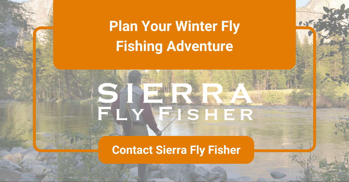 Image of a Sierra fly fisher with text: "Plan Your Winter Fly Fishing Adventure" and a button: "Contact Sierra Fly Fisher."