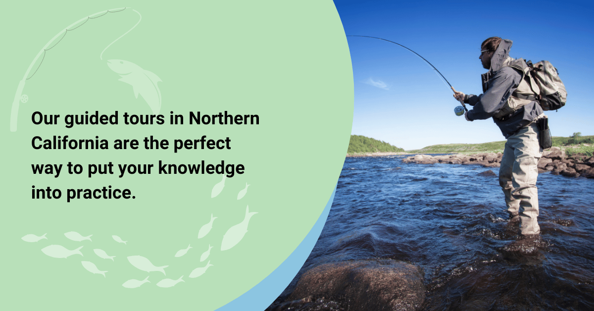 A person fly fishing with text stating, "Our guided tours in Northern California are perfect for applying your knowledge."