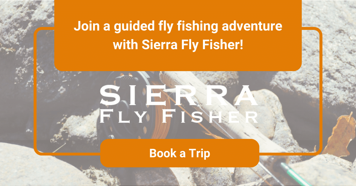 Image of a fly fishing rod, featuring text: "Join a guided fly fishing adventure with Sierra Fly Fisher!" and a button.