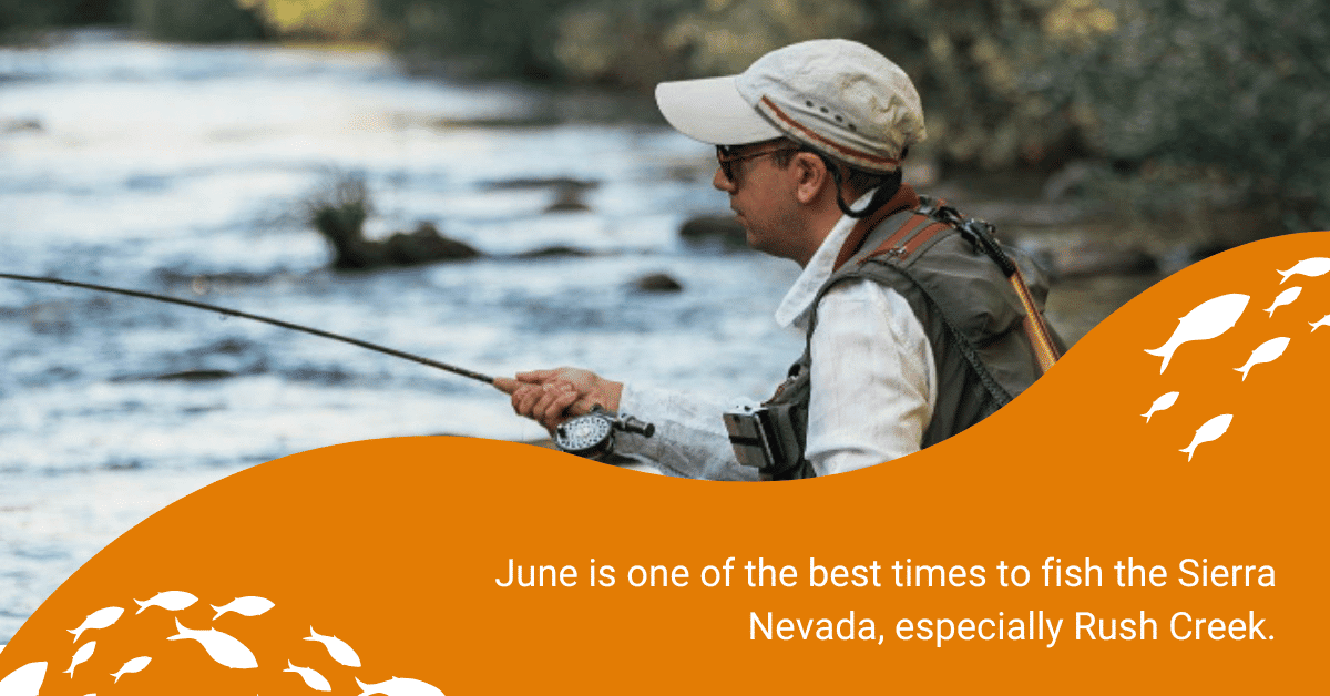 A man fly fishing with a caption stating, "June is one of the best times to fish the Sierra Nevada, especially Rush Creek."