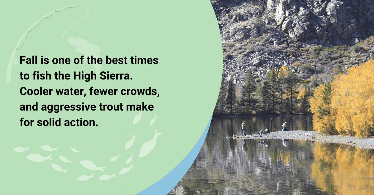 High Sierra view with text emphasizing fall fishing: cooler water, fewer crowds, and active trout for great fishing action.