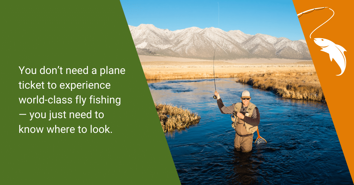 A scenic view of a tranquil fishing spot and a flyfisherman casting, with text from the post about how there are local flyfishing opportunities that don't require traveling far.