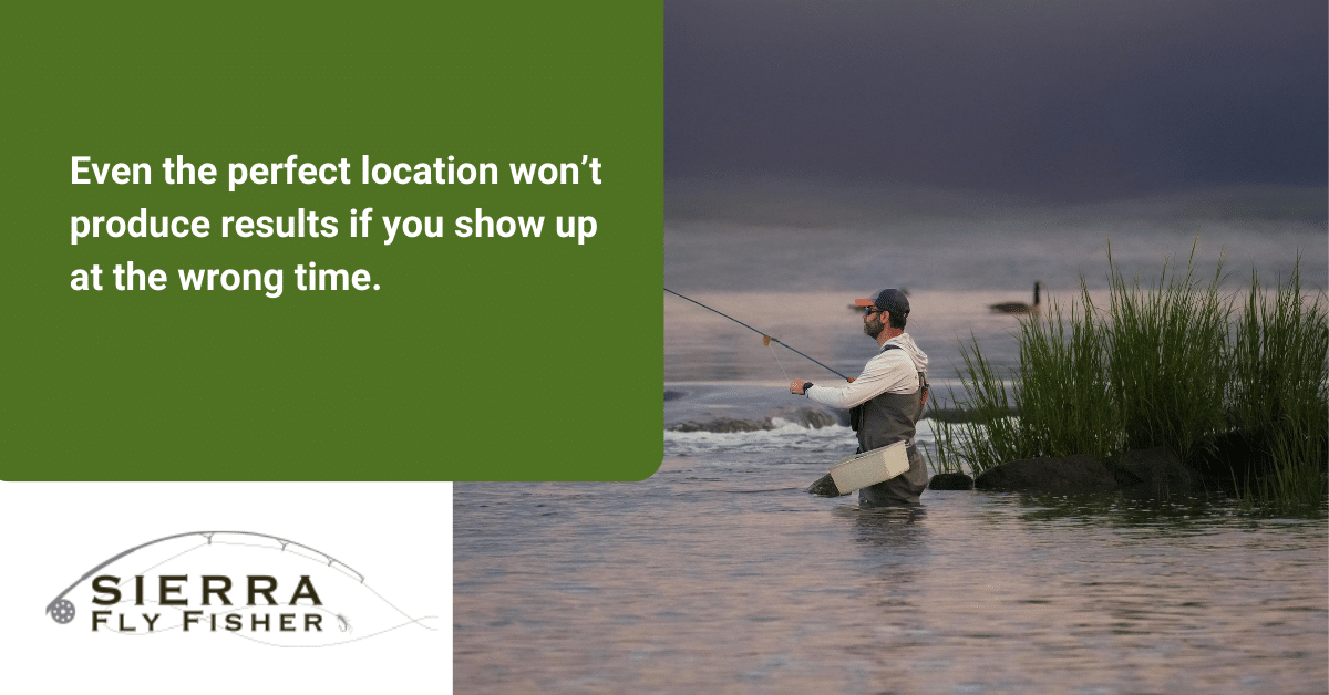 Image of a man flyfishing with text from the post about how perfect fishing spots won't guarantee success if you arrive at the wrong time, highlighting the need for timely fishing.