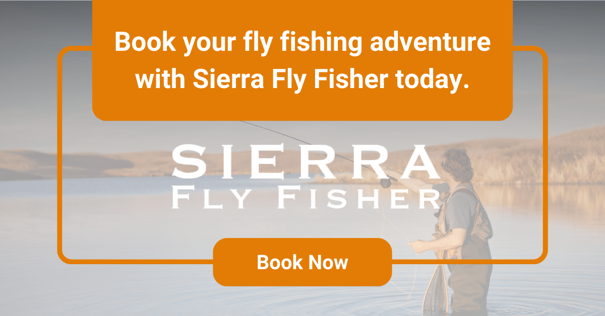CTA image encouraging anglers to experience breathtaking fly fishing trips with Sierra Fly Fisher, where expert guides help you catch trophy trout in beautiful settings.