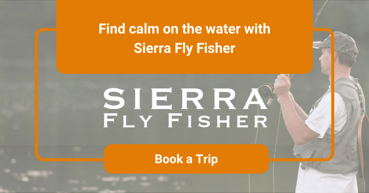 A man fly fishing on a serene lake with text overlay: "Find calm on the water with Sierra Fly Fisher" and a "Book a Trip" button.