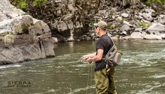 What Do Rainbow Trout Eat And Why It Matters