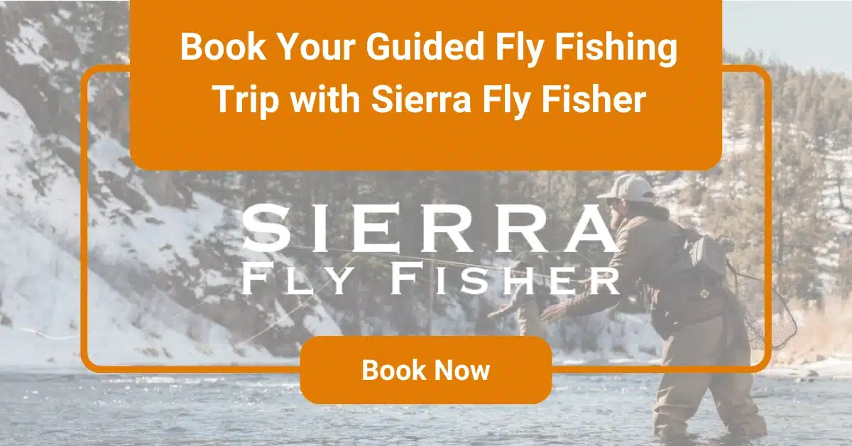 SFF - Best Fly Fishing Spots in California to Visit This Year CTA