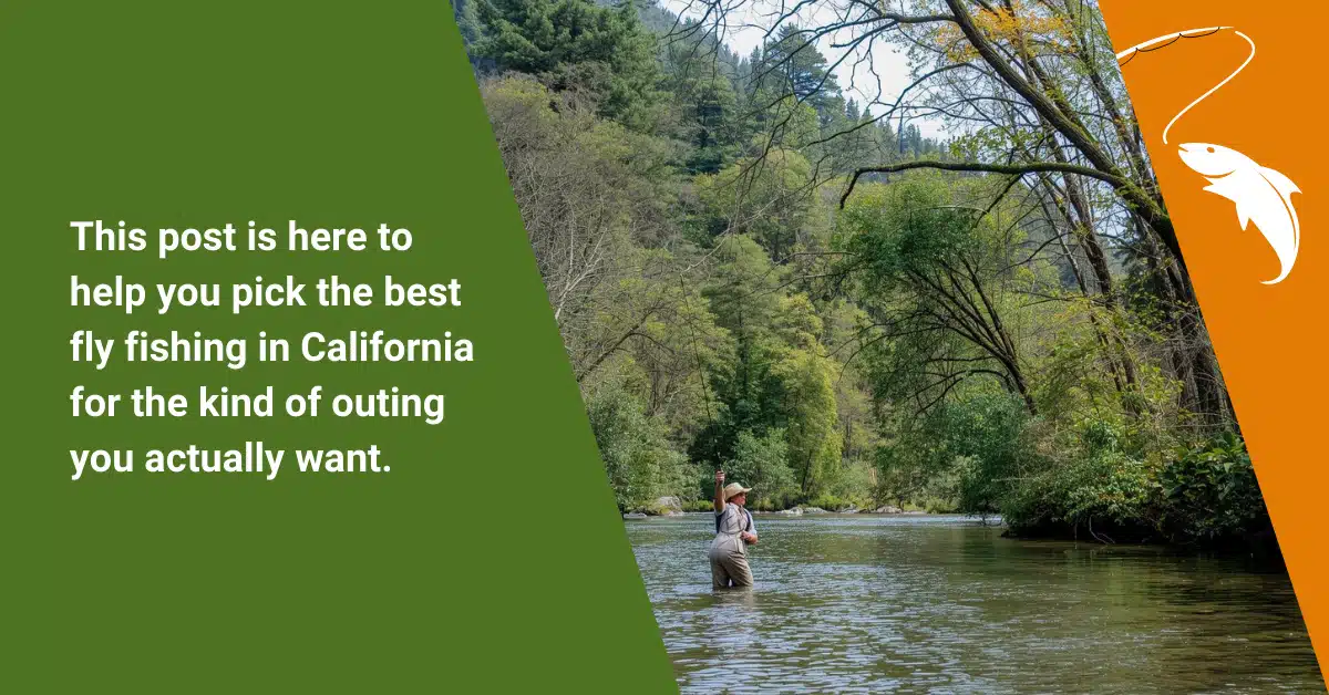 SFF - Best Fly Fishing Spots in California to Visit This Year b1