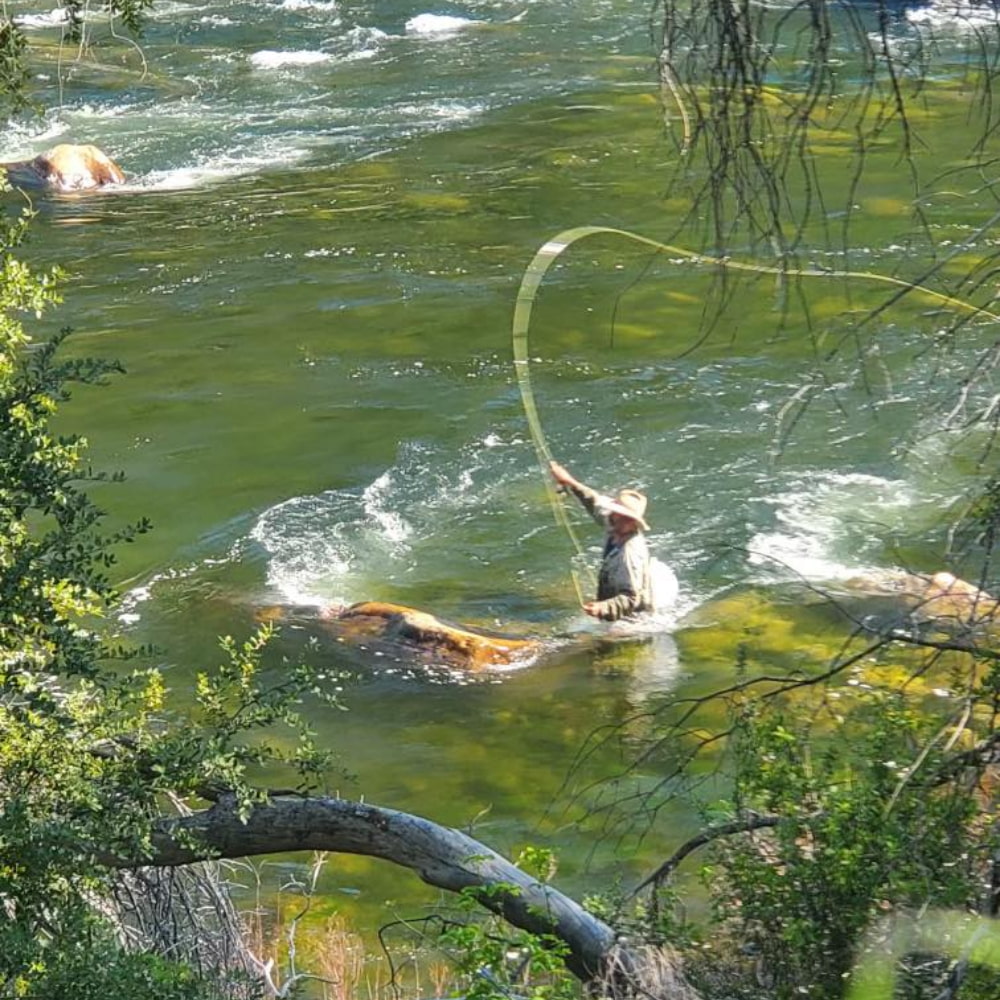 Angler casting a wide fly line loop in a fast-moving Yosemite river viewed through lush riverside foliage