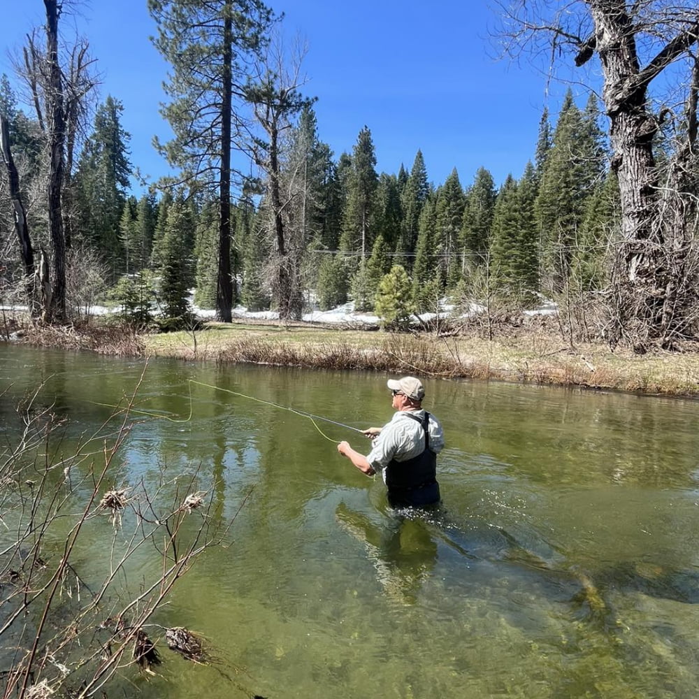 Solo angler fly casting in a calm pine-lined river in Yosemite during early spring with snow still on the ground