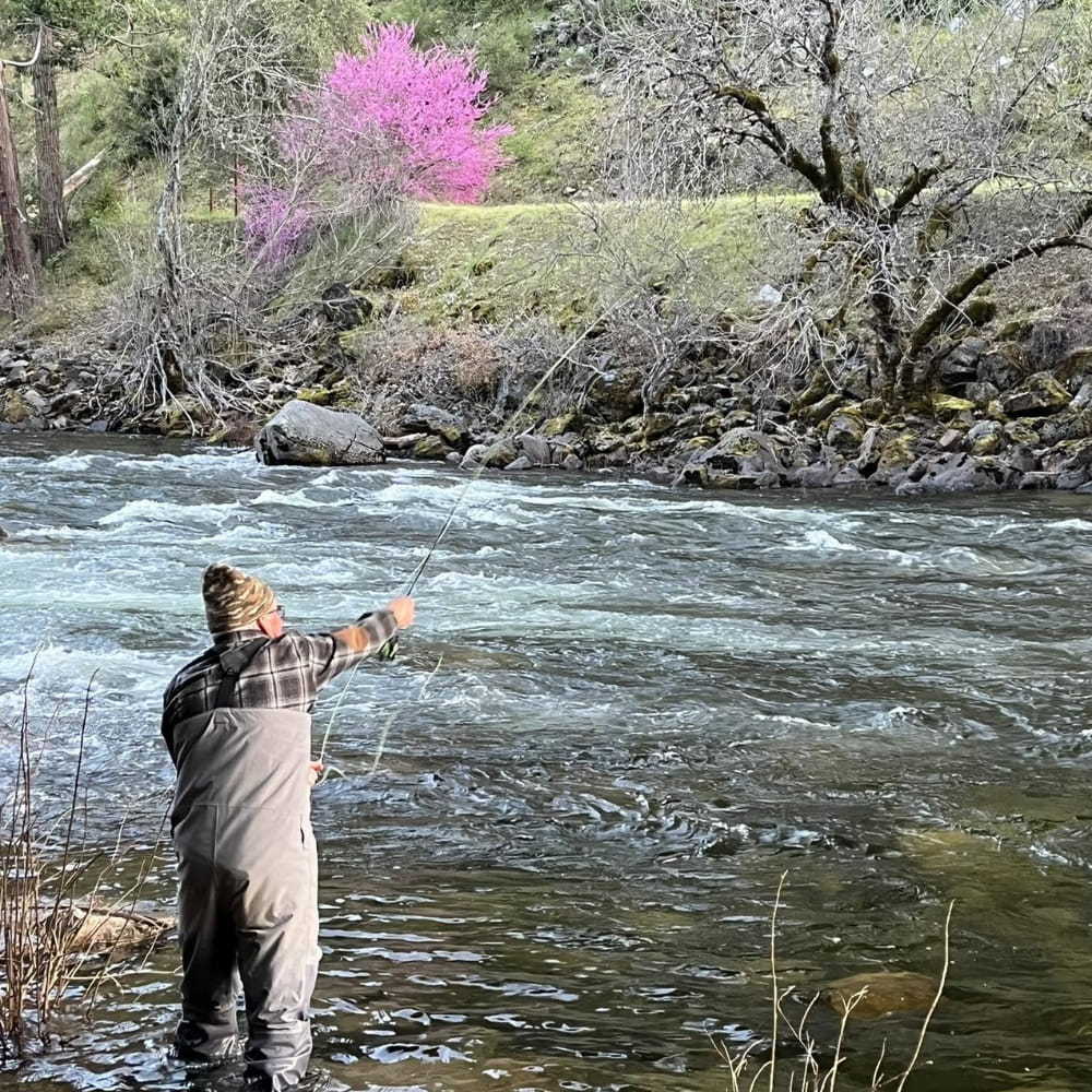 Fly angler casting into a rushing High Sierra river lined with spring blossoms