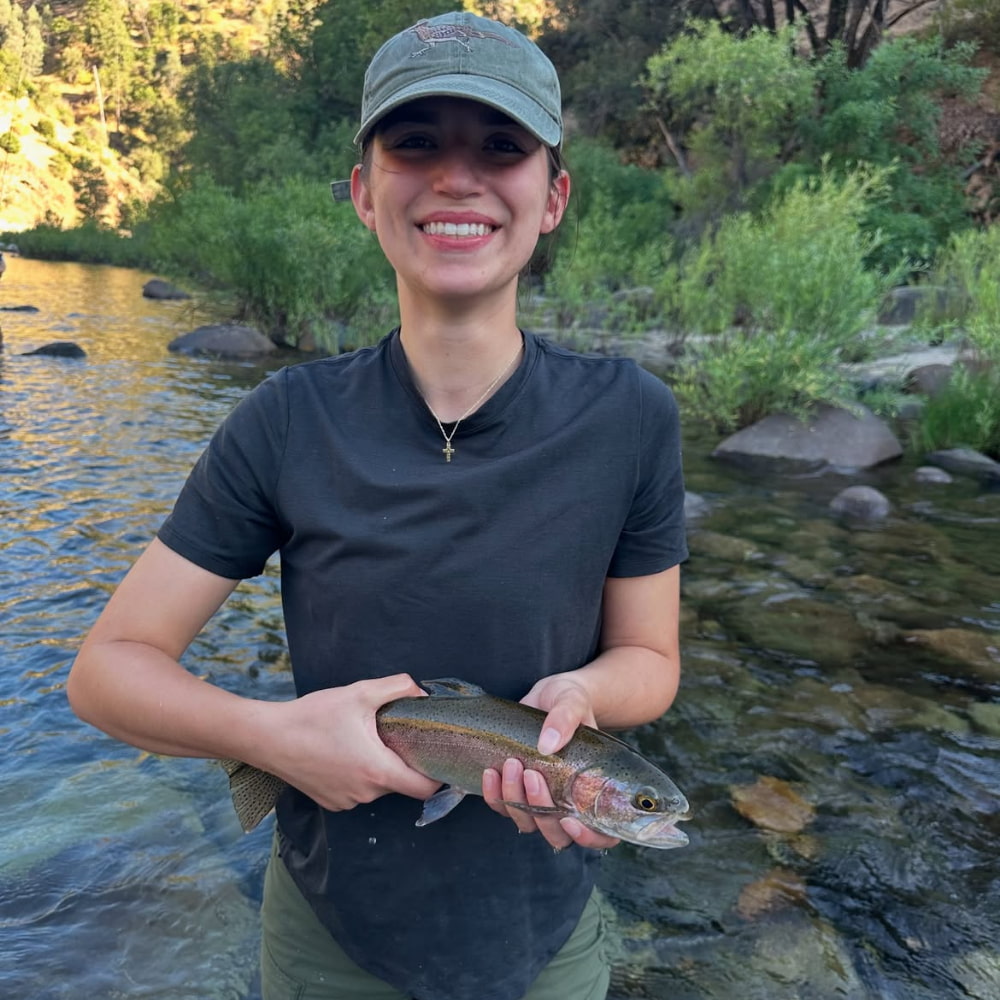 fly-fishing-rainbow-trout-high-sierra
