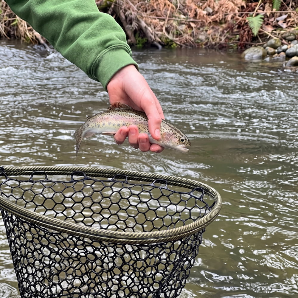 rainbow-trout-landing-net-fly-fishing
